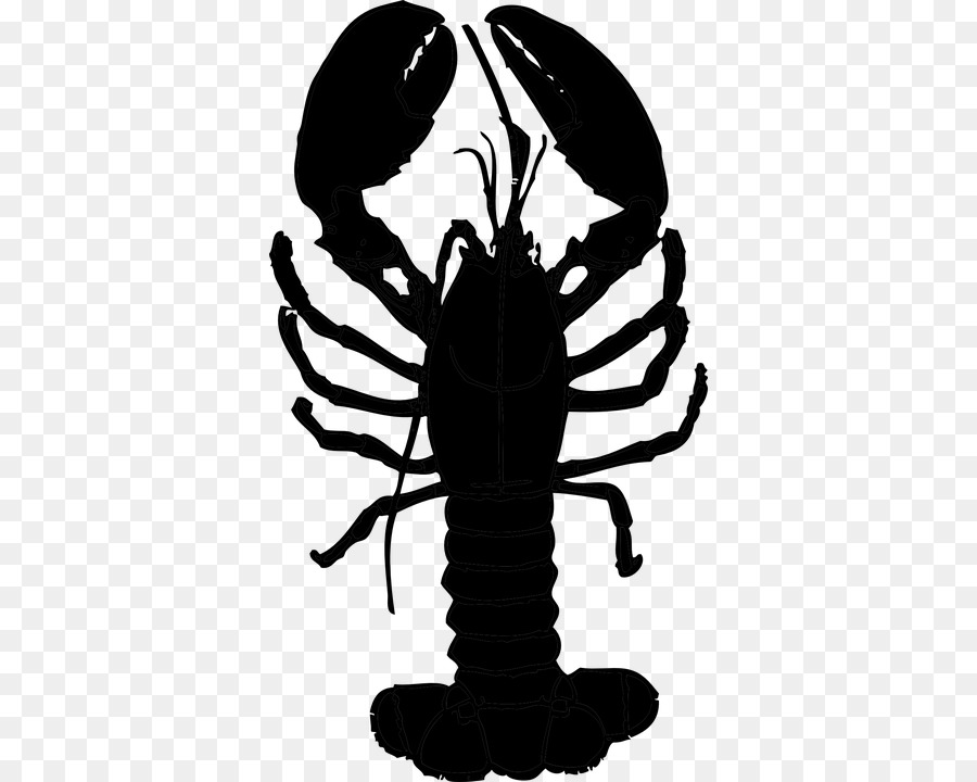 Lobster Royalty-free Clip art - lobsterblackandwhite png download - 404*720 - Free Transparent Lobster png Download.