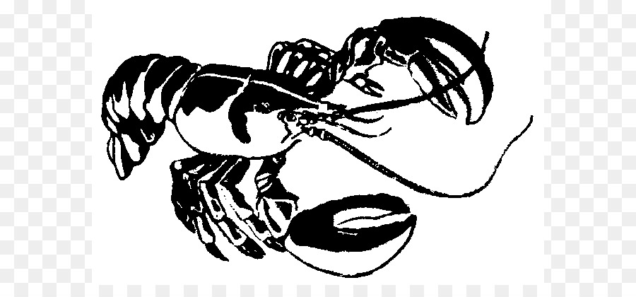 Lobster Clip art - Lobster Drawings png download - 640*403 - Free Transparent  png Download.