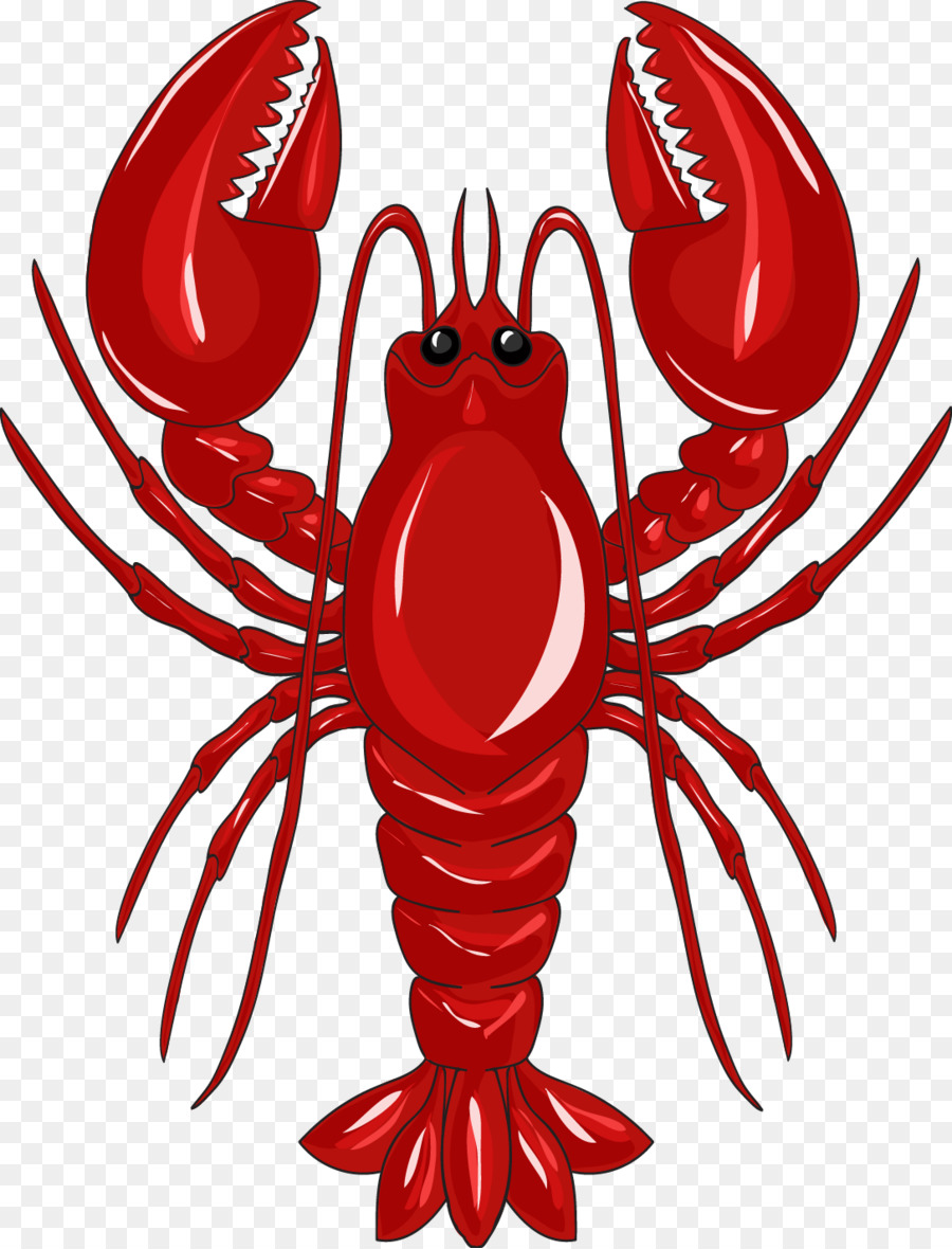 Lobster Crab Clip art - Vector Red Lobster png download - 1086*1423 - Free Transparent  png Download.