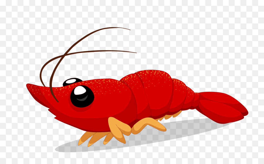 Crayfish Cartoon Illustration - Vector cartoon lobster material png download - 2592*1592 - Free Transparent Crayfish png Download.