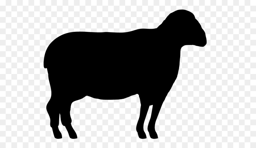 Clip art Texas Longhorn Gyr cattle Beef cattle Highland cattle -  png download - 621*510 - Free Transparent Texas Longhorn png Download.