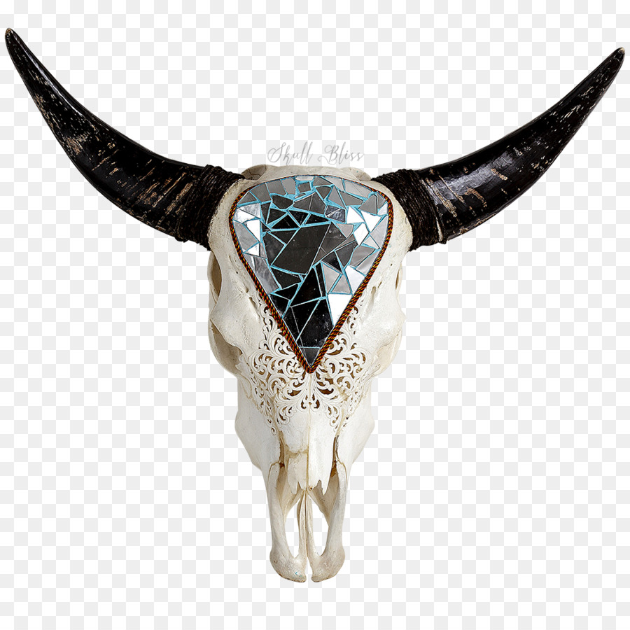 Texas Longhorn English Longhorn Animal Skulls - Longhorn png download - 1000*1000 - Free Transparent Texas Longhorn png Download.