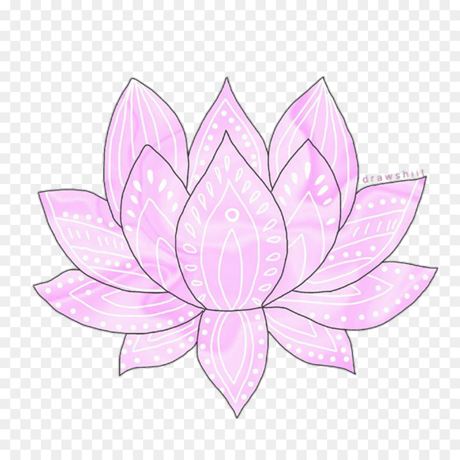 Petal Flower Transparency and translucency Drawing - lotus flower png download - 1024*1024 - Free Transparent Petal png Download.