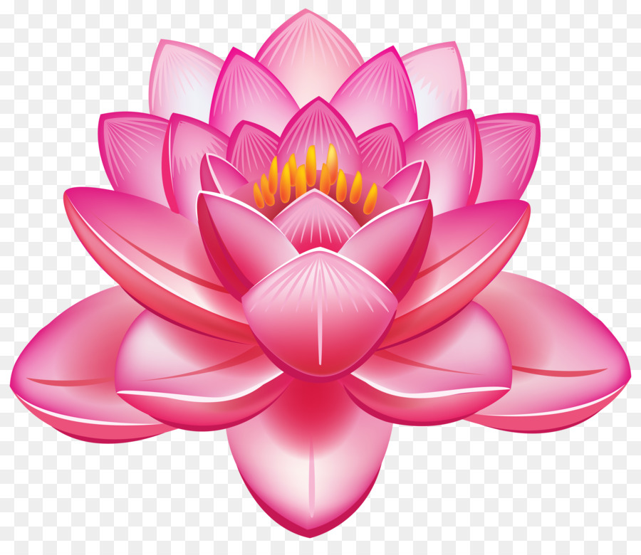 Nelumbo nucifera Flower Egyptian lotus Clip art - Lakshmi png download - 4000*3414 - Free Transparent Nelumbo Nucifera png Download.