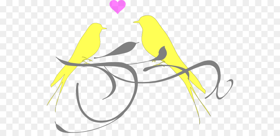 Lovebird Clip art - Bird png download - 600*430 - Free Transparent Lovebird png Download.