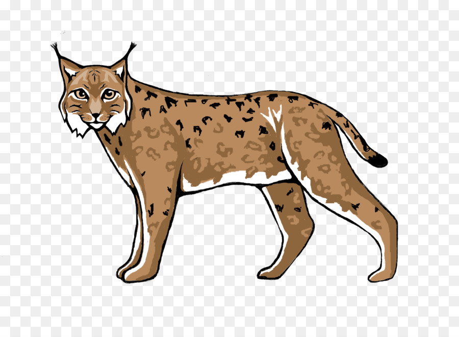 Wildcat Lynx Cougar Cheetah - lynx png download - 1768*1280 - Free Transparent Wildcat png Download.