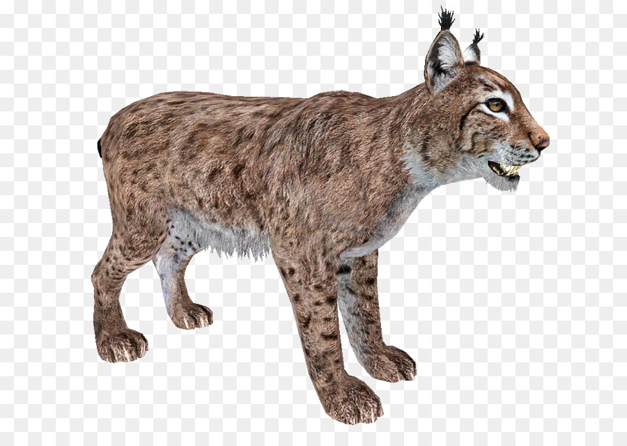 Zoo Tycoon 2 Eurasian lynx Felidae Canada lynx Bobcat - lynx png download - 700*621 - Free Transparent Zoo Tycoon 2 png Download.