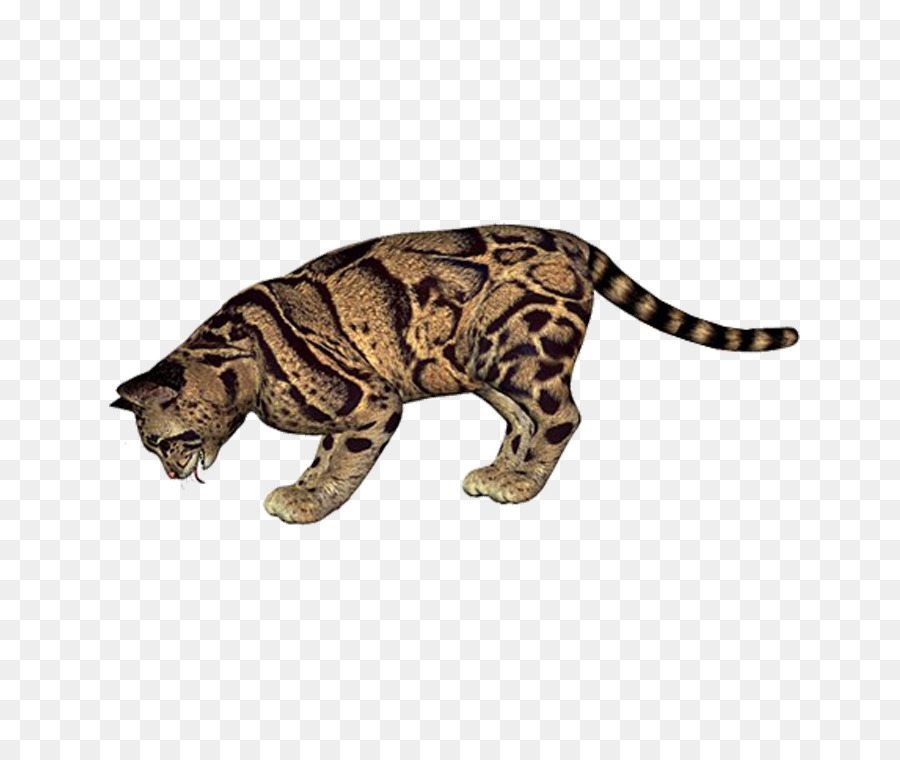 Leopard Cheetah Eurasian lynx Tiger - leopard png download - 750*750 - Free Transparent Leopard png Download.