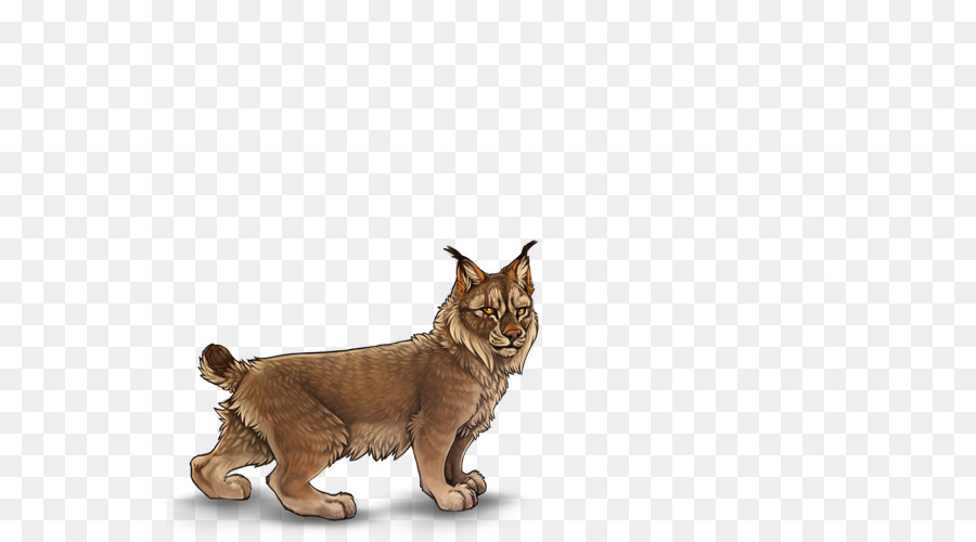 Cat Whiskers Lynx Art Lion - Cat png download - 640*500 - Free Transparent Cat png Download.