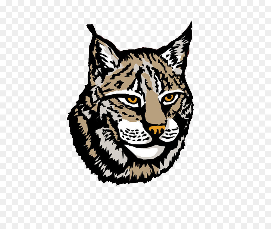 Canada lynx Clip art - others png download - 780*749 - Free Transparent Canada Lynx png Download.