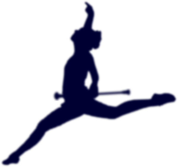 Baton twirling Dance Majorette Clip art - Champion Silhouette png ...