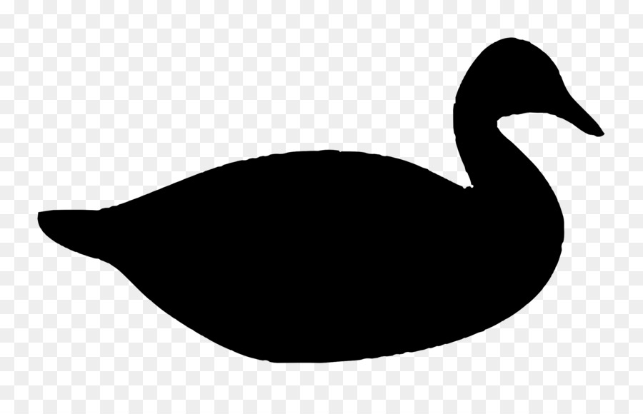 Donald Duck Daisy Duck Mallard - duck png download - 2400*1497 - Free Transparent Duck png Download.