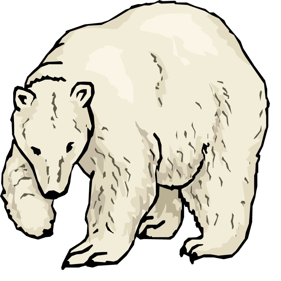 Polar bear American black bear Giant panda Clip art - polar bear png download - 3276*3276 - Free Transparent Polar Bear png Download.