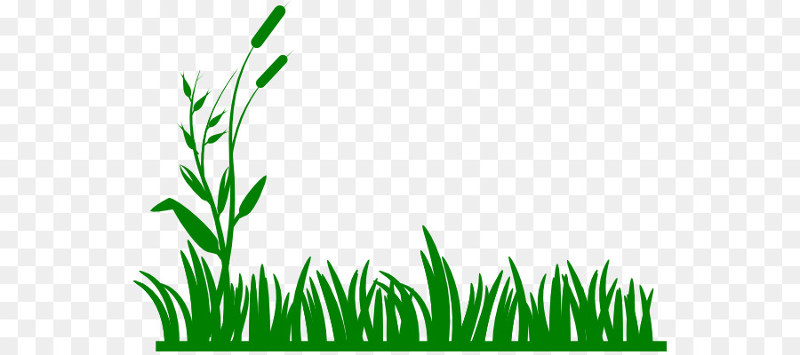 Lawn Clip art - green cliparts png download - 600*396 - Free Transparent Lawn png Download.