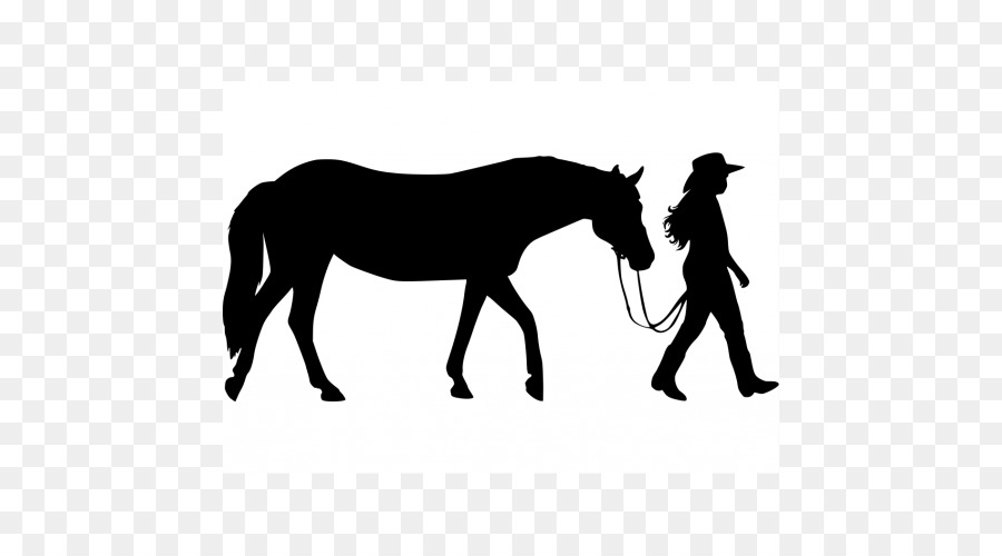Horse Foal Equestrian Wall decal Silhouette - horse png download - 500*500 - Free Transparent Horse png Download.