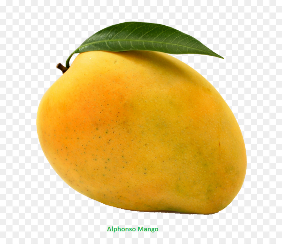 Portable Network Graphics Clip art Mango Transparency Fruit - mango png download - 768*768 - Free Transparent Mango png Download.
