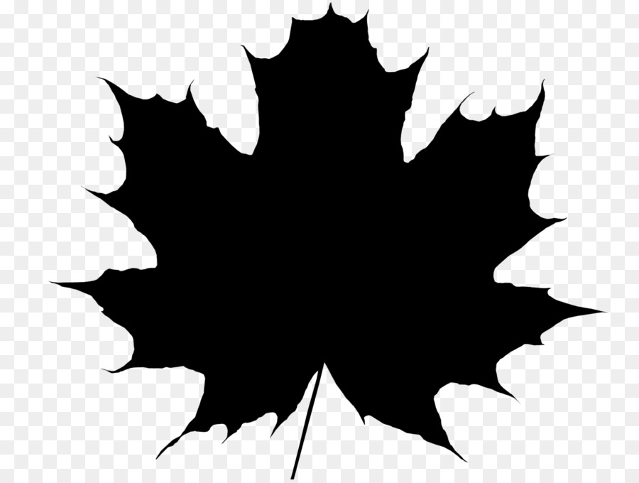 Maple leaf Vector graphics Royalty-free -  png download - 1600*1200 - Free Transparent Maple Leaf png Download.
