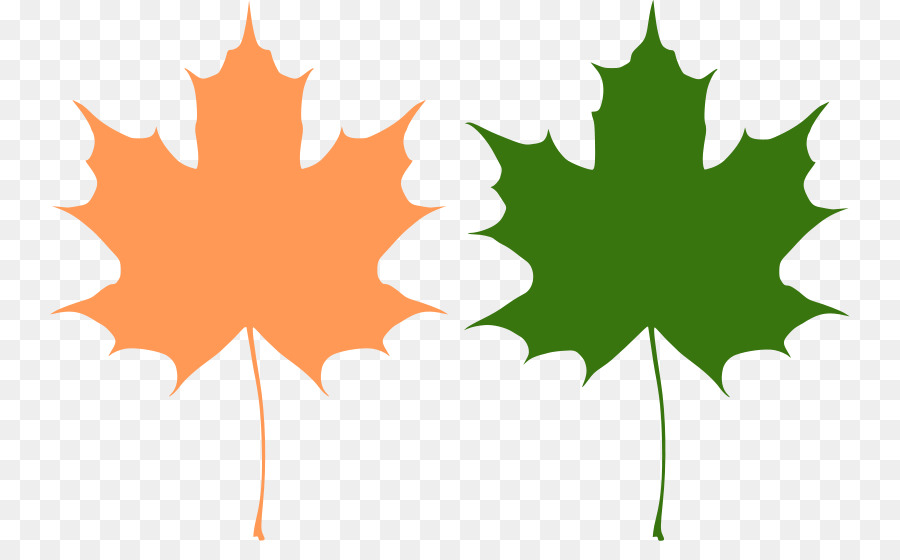 Canada Reviving Canadian Democracy Maple leaf - Maple Leaf Vector png download - 800*541 - Free Transparent Canada png Download.