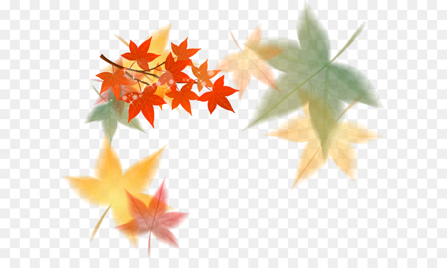 Euclidean vector Maple leaf - Modern vector autumn leaves background material Free dig png download - 651*522 - Free Transparent Maple Leaf png Download.