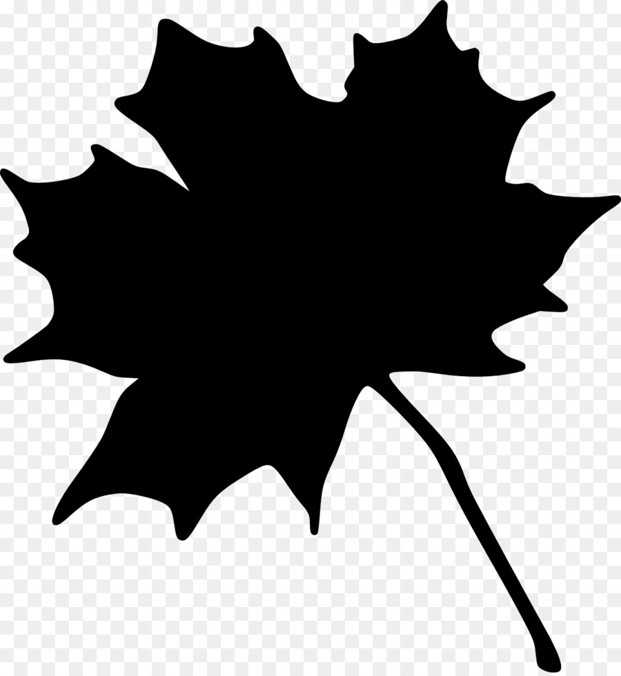 Maple leaf Vector graphics Portable Network Graphics Autumn -  png download - 1182*1280 - Free Transparent Maple Leaf png Download.