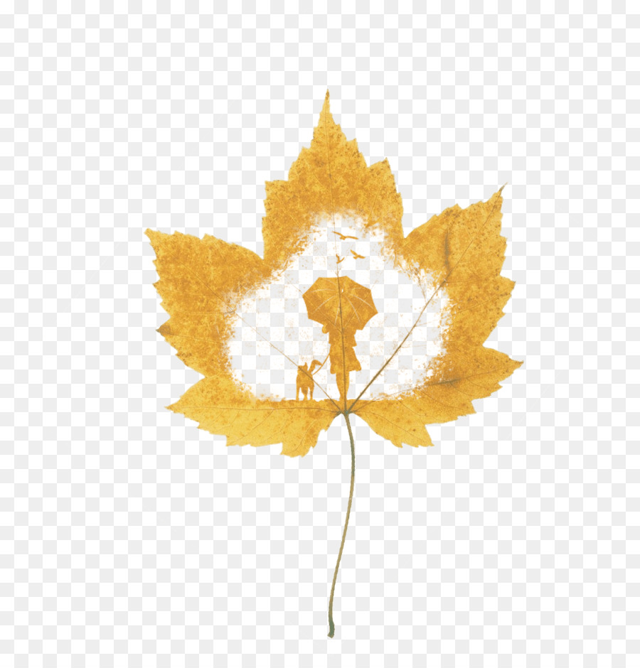 Vector graphics Television Portable Network Graphics Image Download - maple leaf silhouette png download - 804*933 - Free Transparent Television png Download.