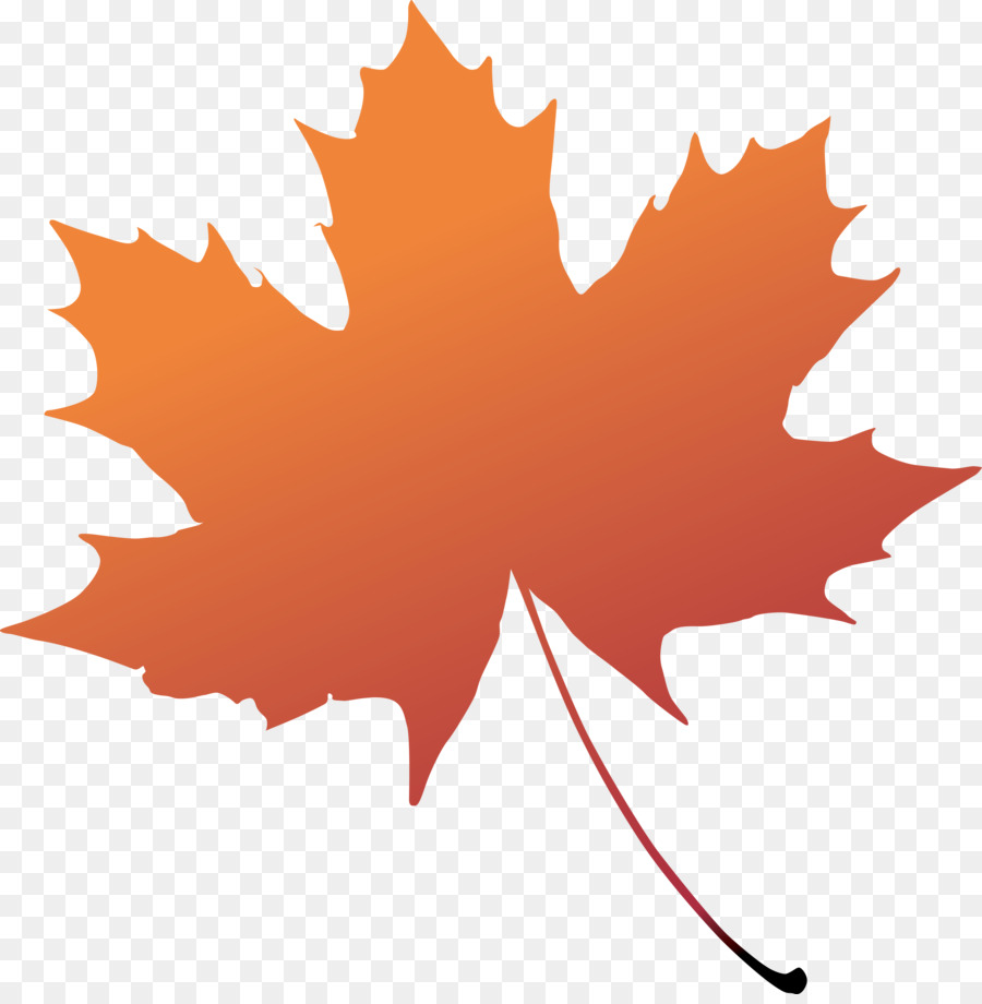 Maple leaf Boxelder maple Tree Plant - leaves png download - 4978*5041 - Free Transparent Leaf png Download.