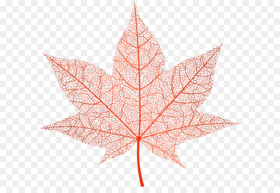 Image file formats Lossless compression - Transparent Red Autumn Leaf PNG Clip Art Image png download - 6000*5588 - Free Transparent Lossless Compression png Download.