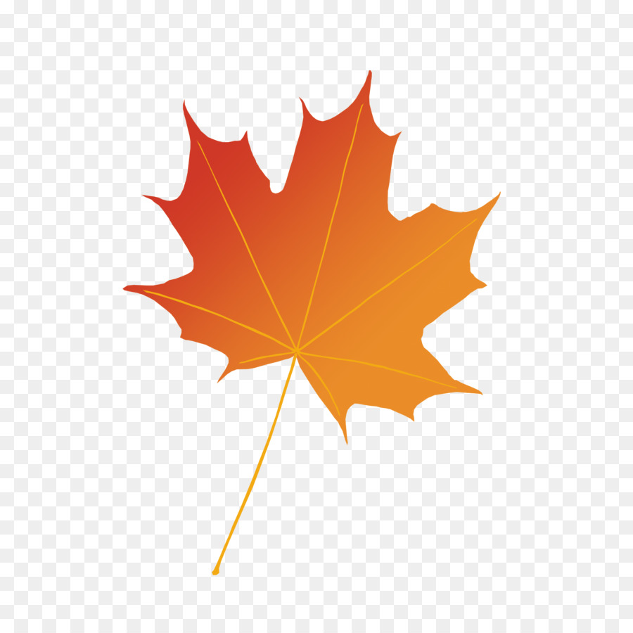 Maple leaf Photography Illustration Autumn - leaf png download - 1772*1772 - Free Transparent Maple Leaf png Download.