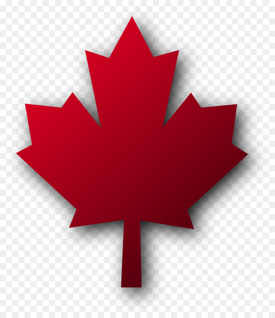 Canada Red maple Maple leaf Clip art - Maple Leaf Cliparts png download - 1969*2248 - Free Transparent Canada png Download.