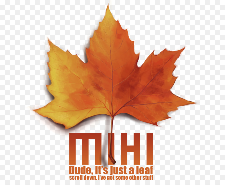 Maple leaf Art Word - Dinglehopper png download - 844*726 - Free Transparent Maple Leaf png Download.