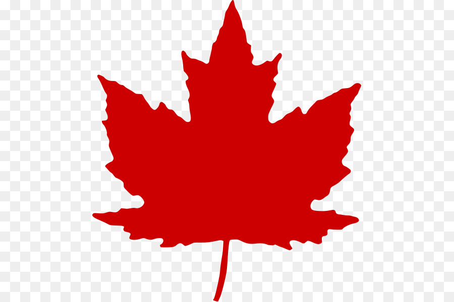 Maple leaf Canada Clip art - Canada png download - 533*599 - Free Transparent Canada Day png Download.