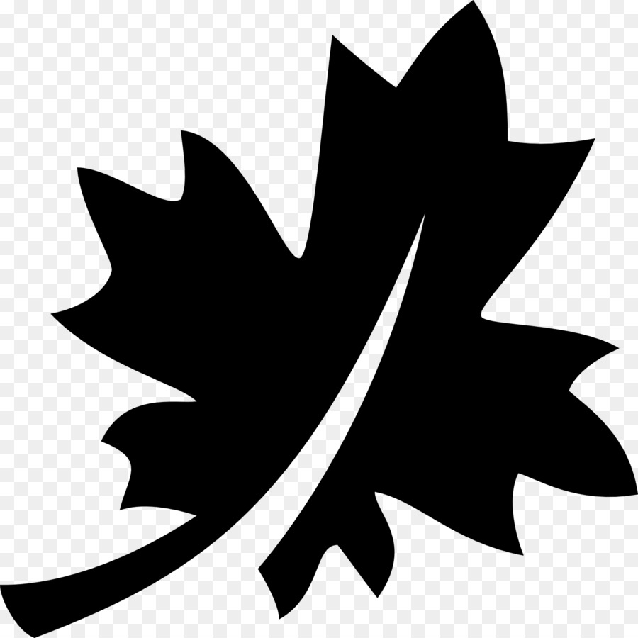 Maple leaf Computer Icons Canada - canadian png download - 1600*1600 - Free Transparent Maple Leaf png Download.