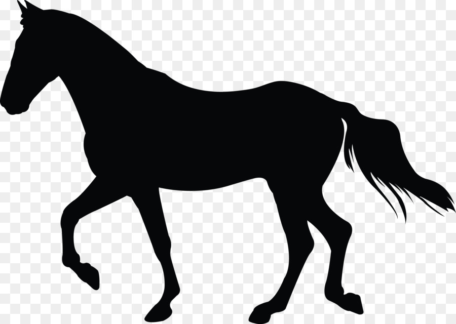 Mustang Foal Silhouette Pony Stallion - mustang png download - 2571*1827 - Free Transparent Mustang png Download.