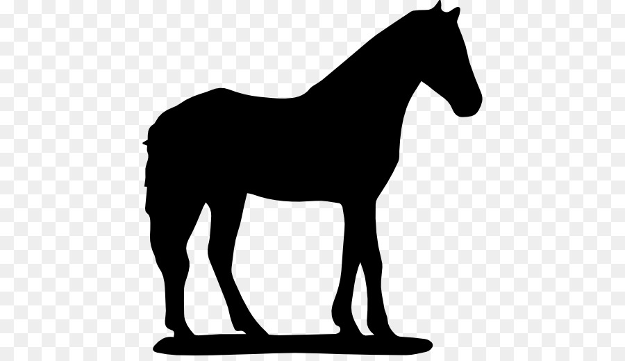 Horse Silhouette Download Computer Icons - horse png download - 512*512 - Free Transparent Horse png Download.