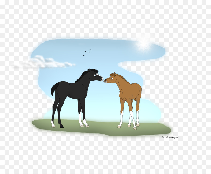 Mustang Foal Stallion Colt Mare - mustang png download - 1280*1036 - Free Transparent Mustang png Download.