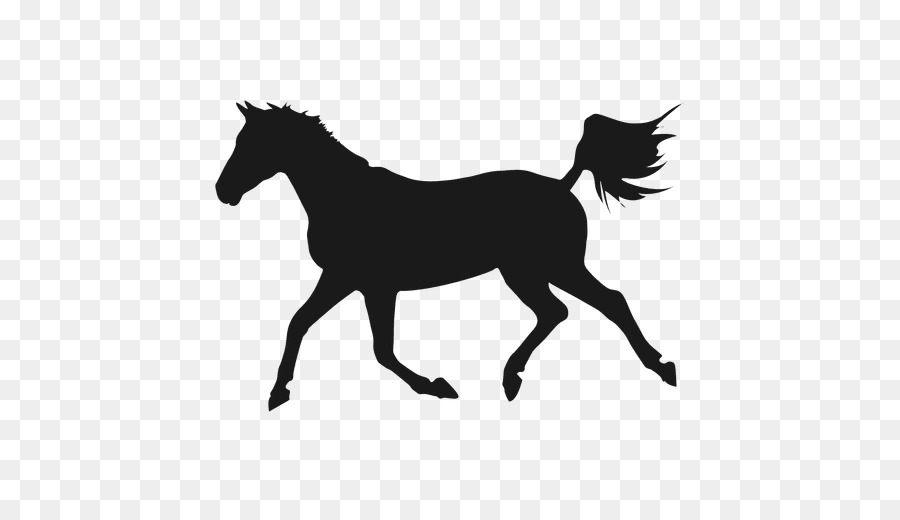 Shagya Arabian Mare Equestrian - Silhouette png download - 512*512 - Free Transparent Shagya Arabian png Download.