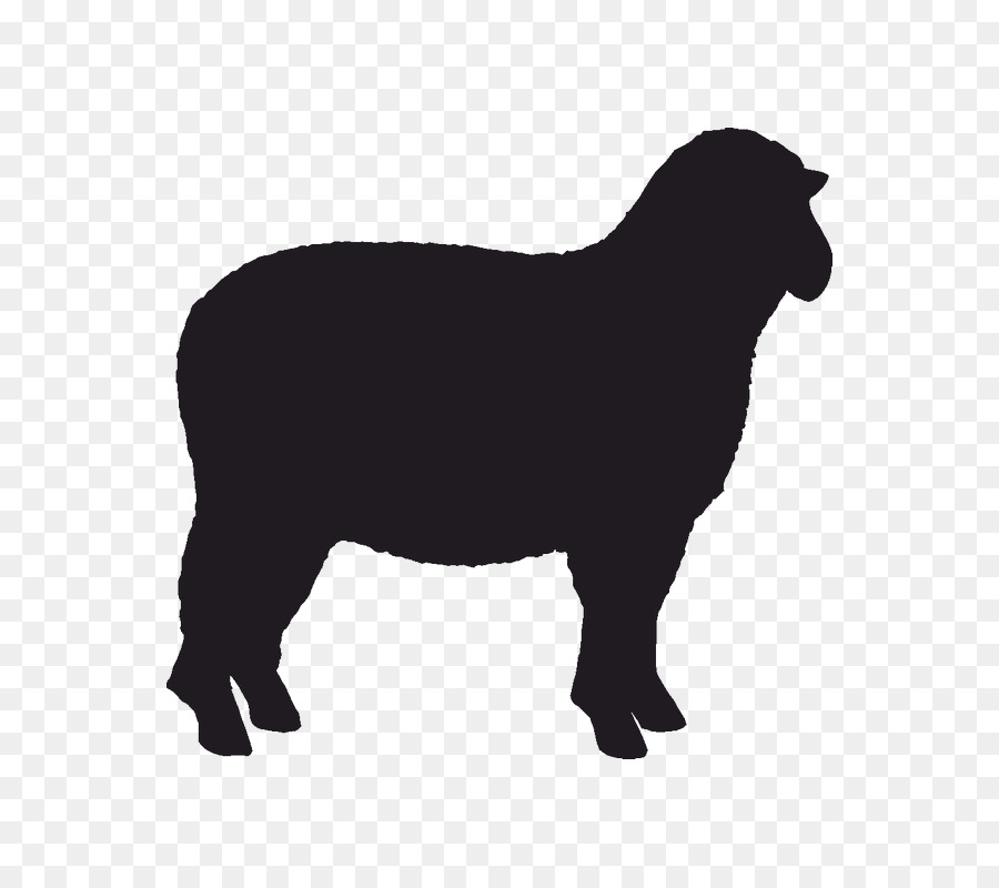 Sheep Sticker Stencil - sheep png download - 800*800 - Free Transparent Sheep png Download.