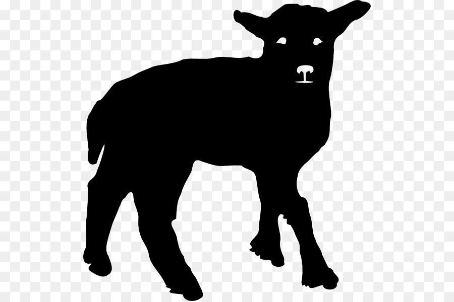 Welsh Mountain sheep Silhouette Lamb and mutton Clip art - Lamb png download - 570*598 - Free Transparent Welsh Mountain Sheep png Download.