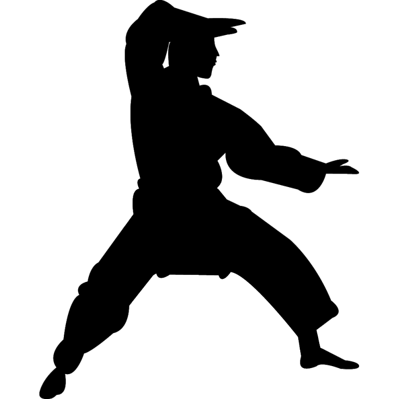 Chinese martial arts Karate Silhouette Kata - karate png download - 800 ...