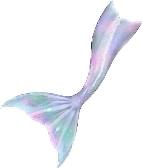 Mermaid Fin Fun Monofin Tail - Watercolor mermaid png download - 484* ...