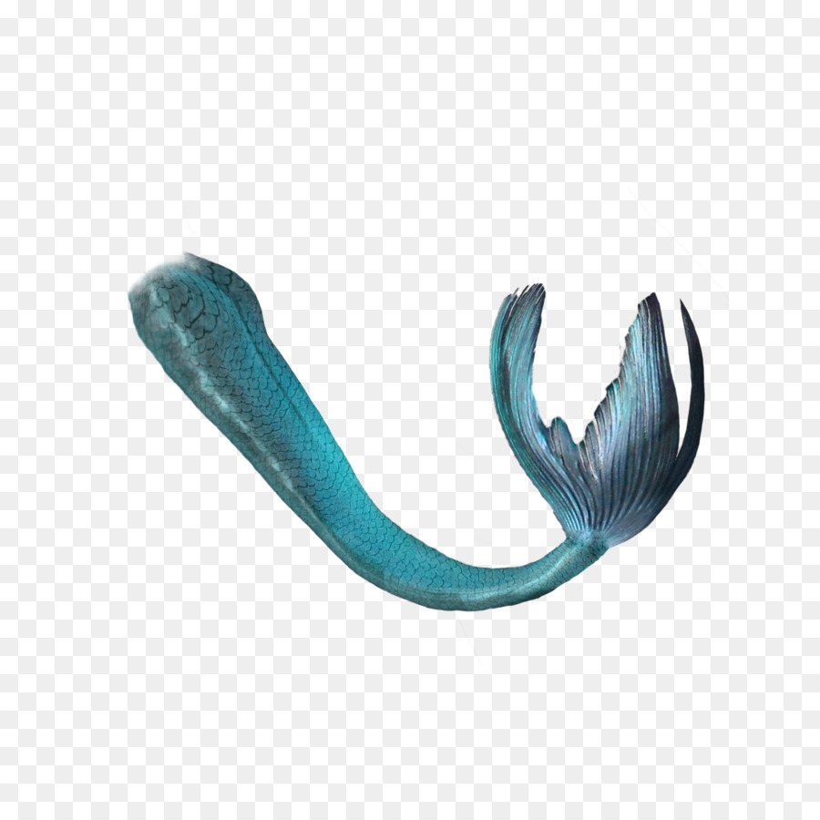 Mermaid Tail Blue - Decorative blue mermaid tail png download - 2000*2000 - Free Transparent Mermaid png Download.