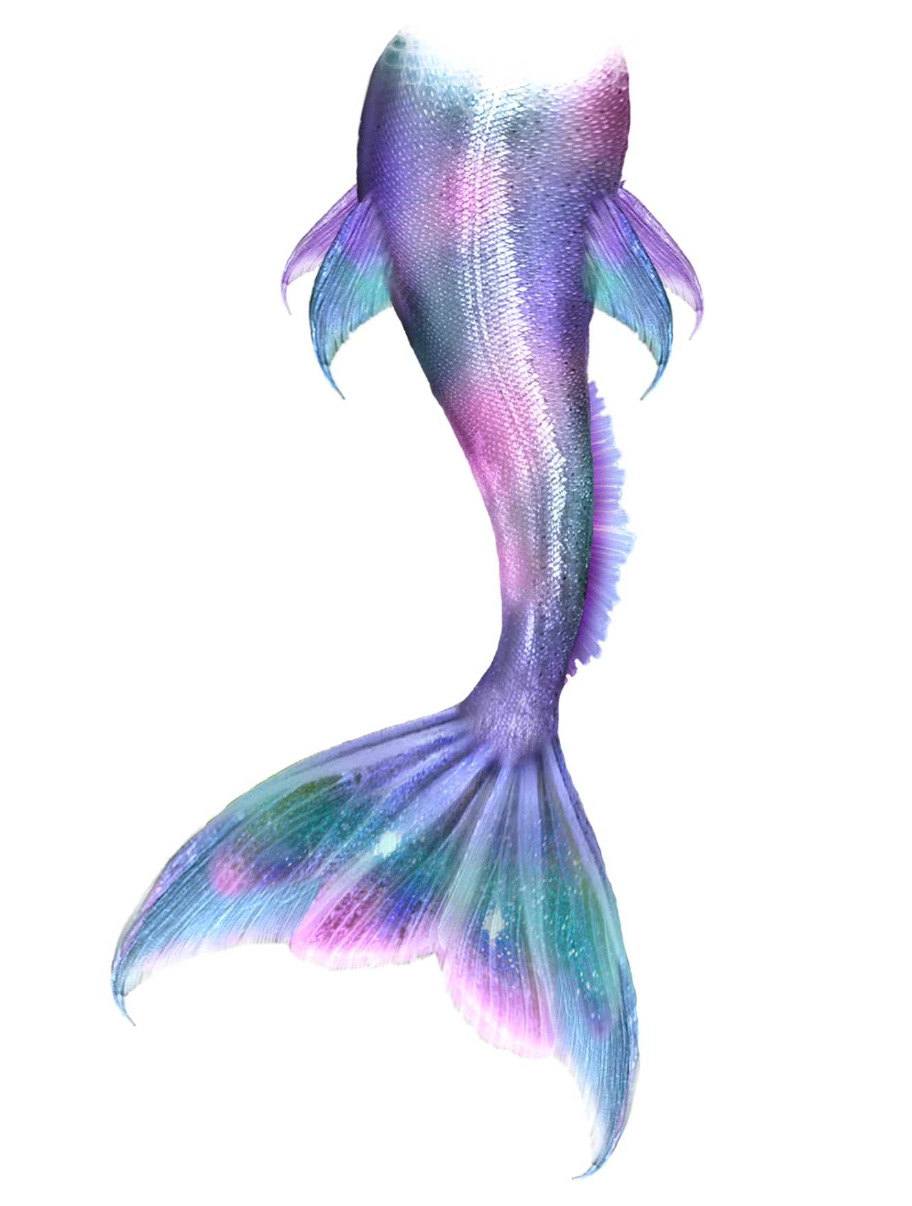 Cute Mermaid Tail Drawing Drawing Mermaids Tails Transparent Png | My ...