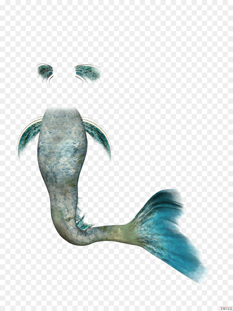 Mermaid Rusalka Clip art - Mermaid tail png download - 1500*2000 - Free Transparent Mermaid png Download.