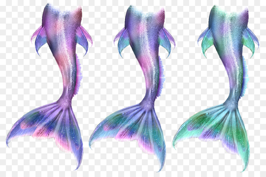 Ariel Mermaid Tail Siren Drawing - Mermaid png download - 1280*850 - Free Transparent Ariel png Download.