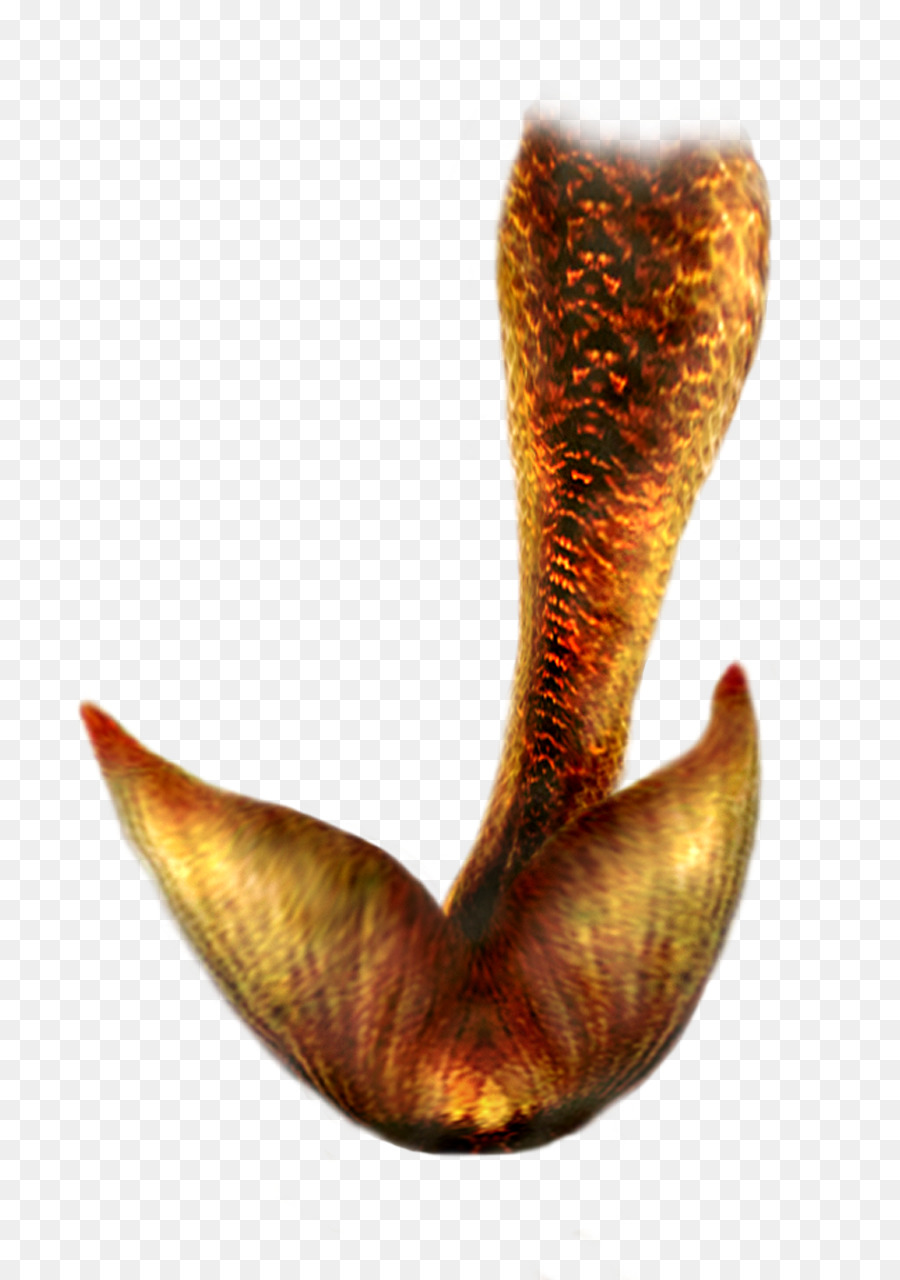 Mermaid Tail Clip art - mermaid tail png download - 853*1280 - Free Transparent Mermaid png Download.