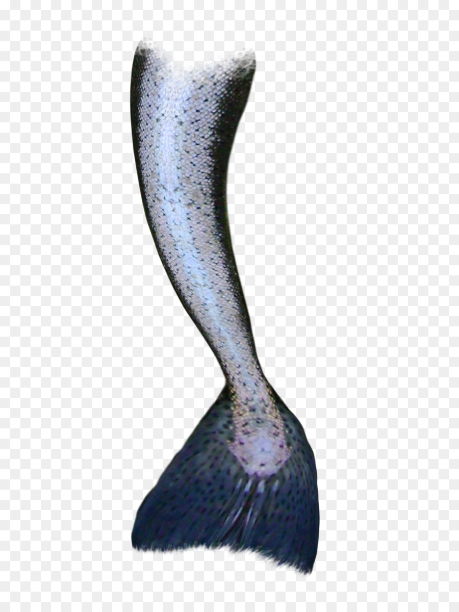 Mermaid Tail Siren - Mermaid png download - 900*1200 - Free Transparent Mermaid png Download.