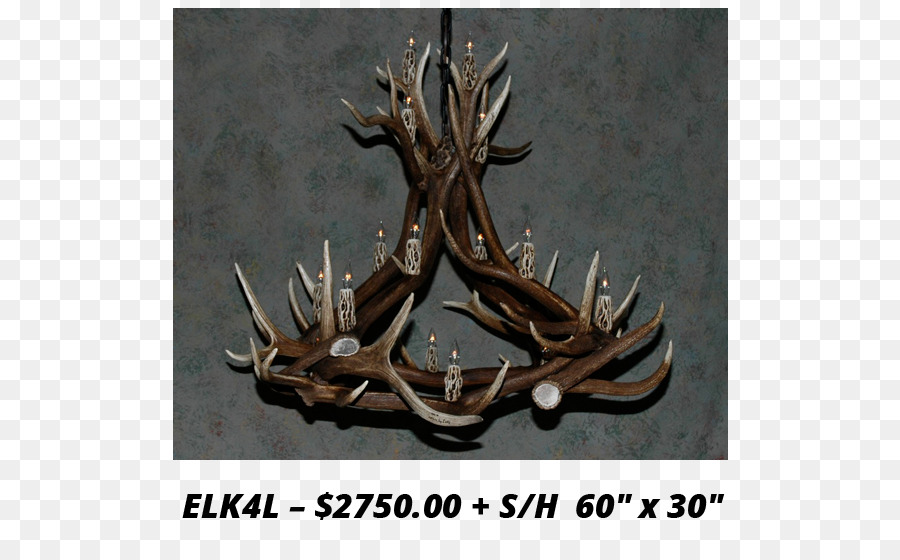 Elk White-tailed deer Antler Moose - Antler png download - 736*542 - Free Transparent Elk png Download.