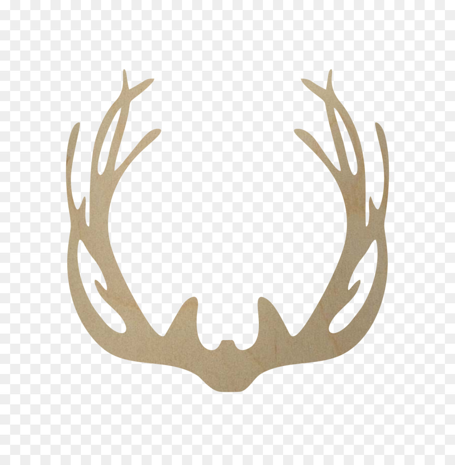 White-tailed deer Antler Elk Horn - deer png download - 684*912 - Free Transparent Deer png Download.