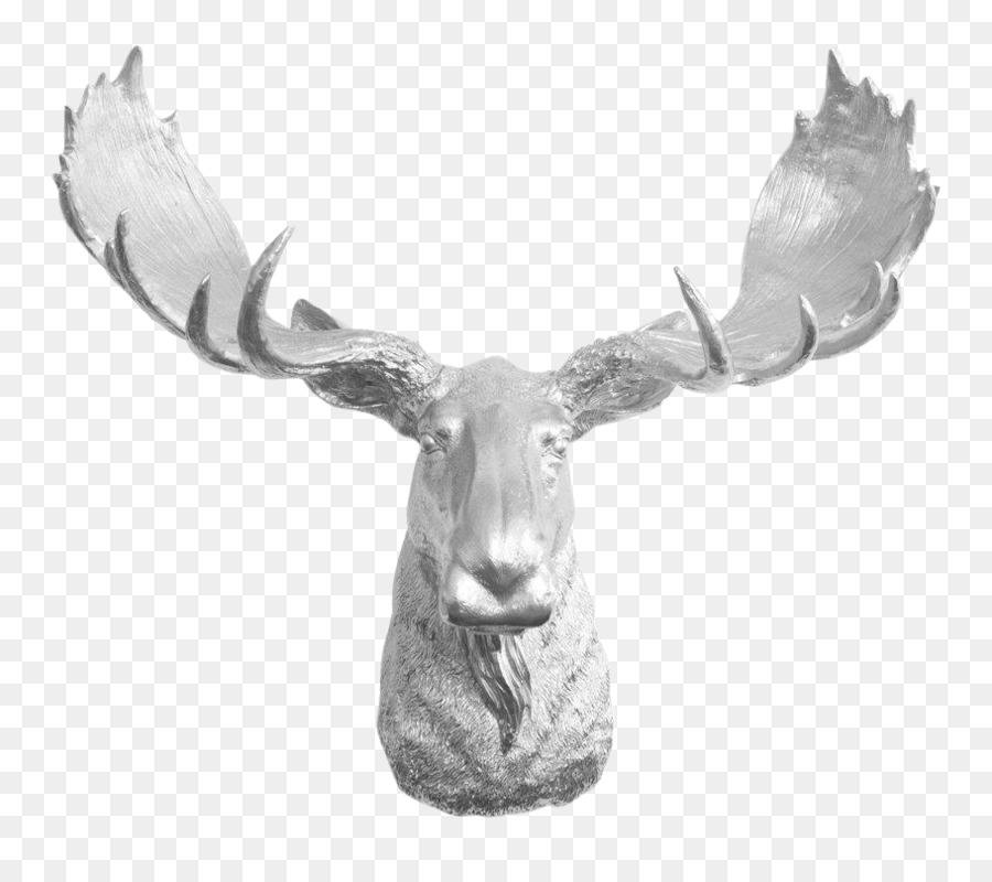 Moose Reindeer Antler Elk - deer png download - 910*791 - Free Transparent Moose png Download.