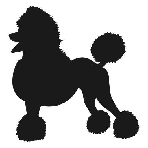 Standard Poodle Miniature Pinscher Miniature Schnauzer German Pinscher ...